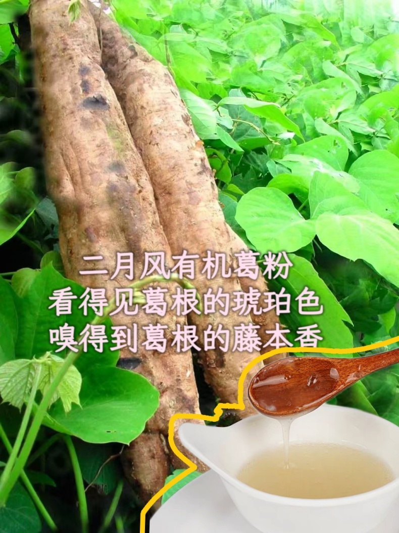 二月風(fēng)有機葛粉，看得見葛根的琥珀色，嗅得到葛根的藤本香_790.jpg