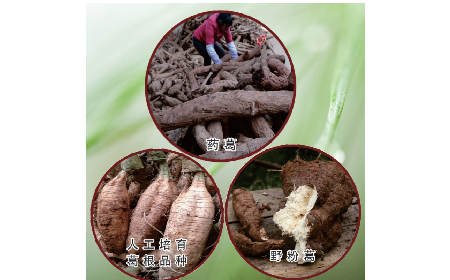 買葛粉是買野生的好？還是野生有機的好？