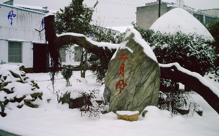 二月風(fēng)致老友：一碗葛根粉的牽掛，農(nóng)博會上的重逢之約二月風(fēng)盼老友：農(nóng)博會上，再續(xù)葛粉情緣