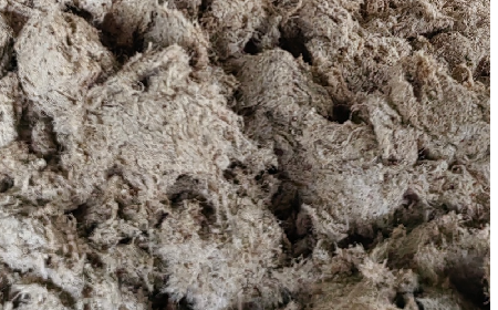 深入大洪山，只為一口純凈 -二月風(fēng)今冬野生葛根收購紀(jì)實